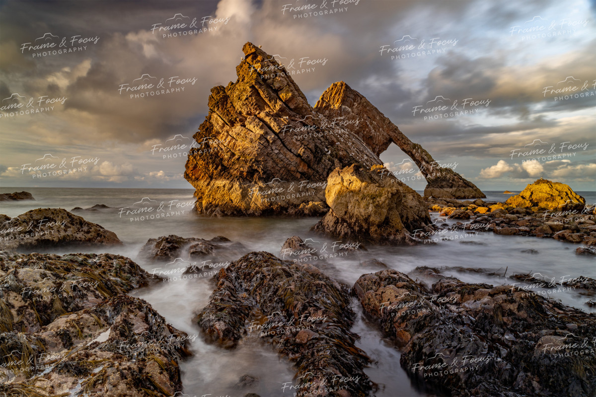 To buy a print or any of the below please click on the images